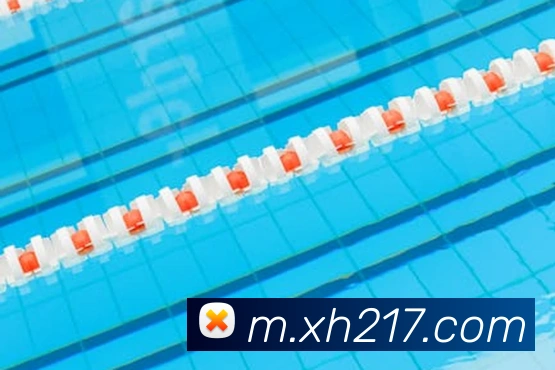 奖项图2